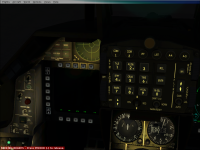 Microsoft Flight Simulator X 5_24_2024 9_27_30 PM.png