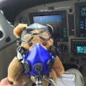 martin7777