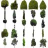 Central European Vegetation Library 1.0