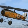 Albatross D.III (Oeffag) 'The Black Baron'