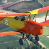 Ants Tiger Moth for MSFS SE-BYL (updated)