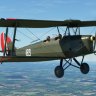 Ants Tiger Moth for MSFS LN-KFT (updated)