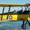 Ant's Tiger Moth for MSFS G-FCTK (updated)