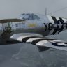 Republic P-47D 404th FG Y8-F "Joan"