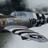 Republic P-47D 404th FG Y8-D "Snortin Bull" Capt James 'Hoss' Mullins