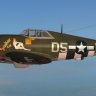 Republic P-47D 365th FG D5-T "Stinker Too"