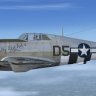 Republic P-47D 365th FG D5-O "Sally Flat Foot III"