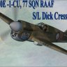 SC-RAAF Skin for the FDG 2 P40E.zip