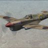 RH_P-40E_Mike Judd.zip