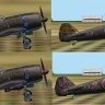 Akemi's Nakajima KI-84 Hayate ("Frank") "Shinbu-Tai" textures #2.zip