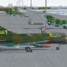 Mehlin Rainer Flusirainer's MiG-21MF JG1.zip