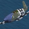 FDG2_P-51B_352nd.zip