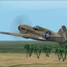 RH_FDG_P-40e_Tuskegee_V2.zip