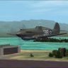 RH_USA_P-40-B/C Skin Pack.zip