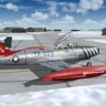 Piglet T-33 USAF 36FG repaint.zip