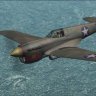 RH_P-40E_Ellis Wright.zip