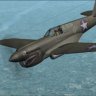 RH_P-40E_Robert Vaught.zip