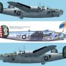 CFS2_Allen_B-24J-Liberator-Booby-Trap_Miss-Jolly-Roger_skin_update.zip