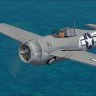 FM-1 Wildcat "Black 3".zip