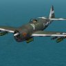 AW_P-47D_TEXTURE.10.zip