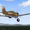 P-40F-10 for FS9_with_updates.zip