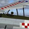 Bristol Bulldog Pilot.zip