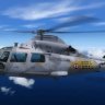 MF_Cerasim_AS565_36F_20ans_with_patch