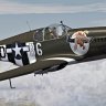 Warbirdsim P-51 "Berlin Express" 2020 Repaint