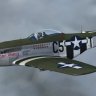 Warbirdsim P-51D Mustang "Hurry Home Honey"