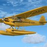 A2A PIper Cub "EI-COY"