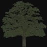 Fix Airbase Trees for ETO.zip