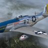 Warbirdsim P-51D Mustang Hell-er Bust N7551T