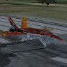 CF-18 Hornet Tiger Meet 2003.zip