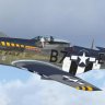 Warbirdsim P-51D Mustang "Bald Eagle"