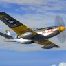 Firepower P-51D.zip