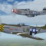 Warbirdsim P-51D Mustangs "Marinell & Janie"