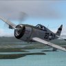 AlphSim P-47D Razorback "Georgia Peach" Texture.zip