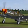 Alphasim P-51D Gash Hound.zip