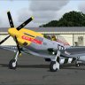 Alphasim P-51D DETROIT Miss.zip