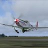 Alphasim P-51D "Worry Bird".zip