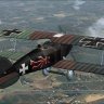 Albatros D.III Joachim von Bertrab