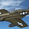 WarbirdSim P-51B 118th TRS No. 58F