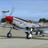 Alphasim P-51D "Donald Duck".zip