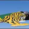 Brazilian F5-A Tiger.zip