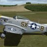 Warbirdsim P-51D "Double Trouble Two" N51EA