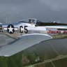 Warbirdsim P-51D Mustang N5420V "Swamp Fox"