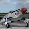 P-51D 'Donald'_with_fix.zip