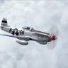 P-51D 6N-W "Boomerang!".zip