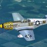 WarbirdSim P-51 B/C "Lucky Leaky II"