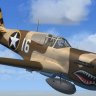 MF_Flight Replica_P40_Desert